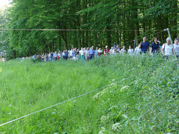 Festgottesdienst zum 1.000 Todestag des Heiligen Heimerads auf dem Hasunger Berg (Foto: Karl-Franz Thiede) Festgottesdienst zum 1.000 Todestag des Heiligen Heimerads auf dem Hasunger Berg (Foto: Karl-Franz Thiede)